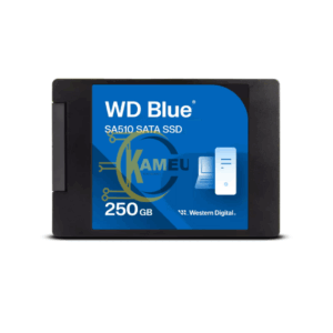 Disque SSD 250 GoSATA WD Blue SA510