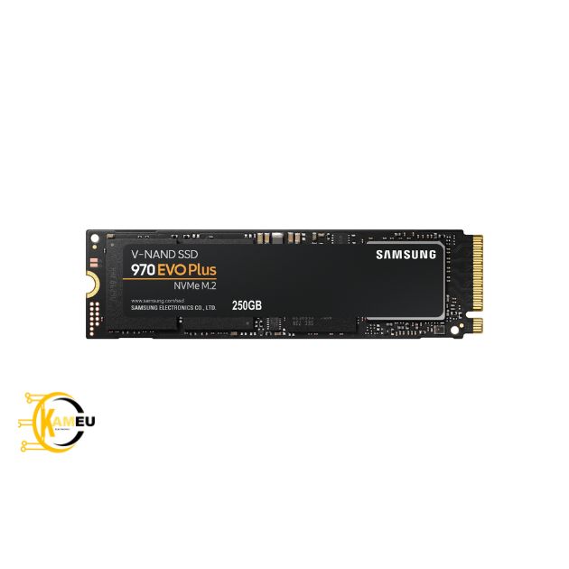 Disque SSD 250GB Samsung Evo 970 Plus M.2 NVMe MZ-V7S250BW